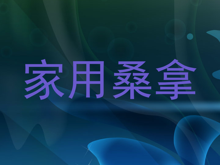 家用桑拿
