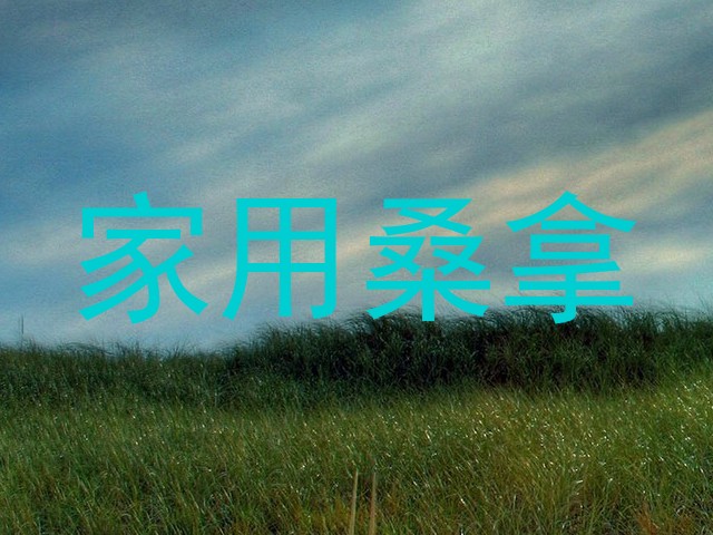 家用桑拿