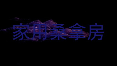 家用桑拿房