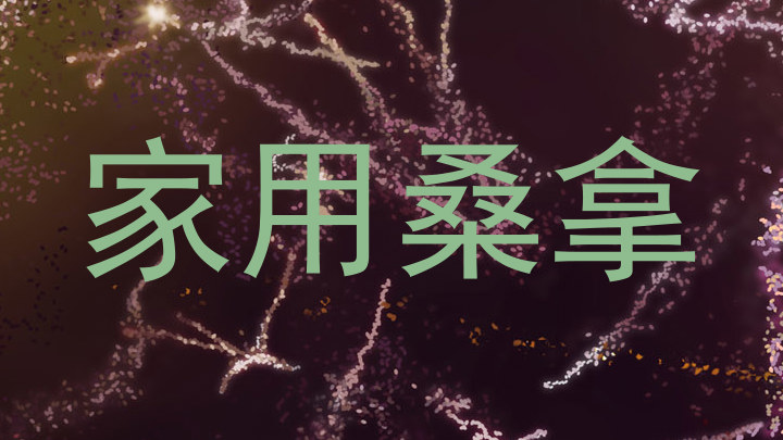 家用桑拿