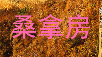 桑拿房