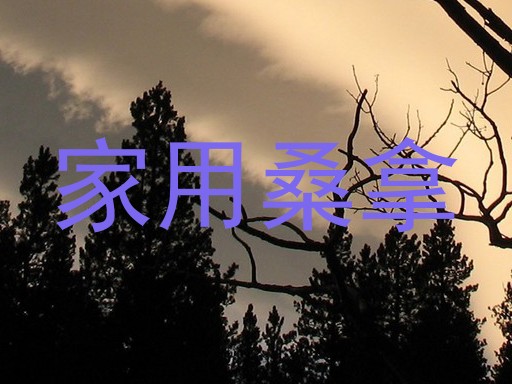 家用桑拿