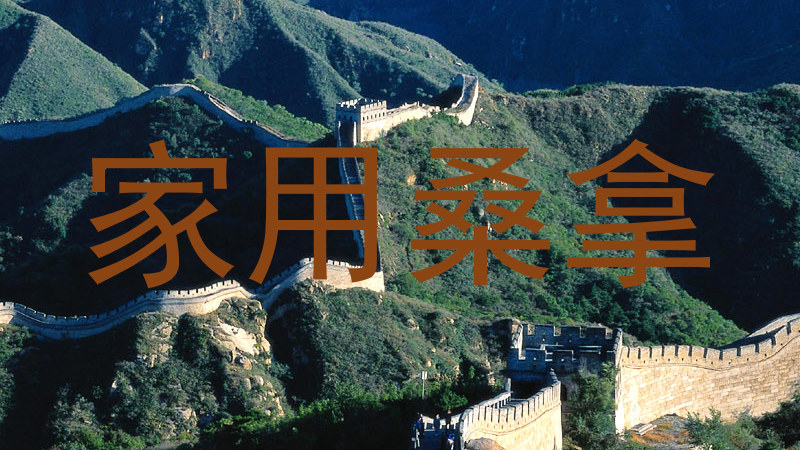 家用桑拿