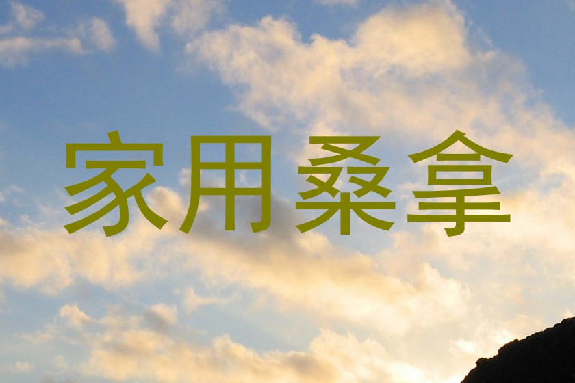 家用桑拿