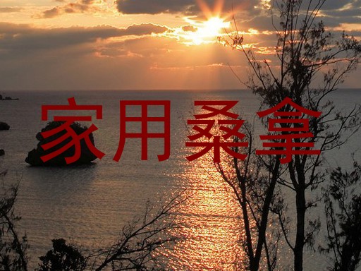 家用桑拿