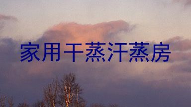 家用干蒸汗蒸房