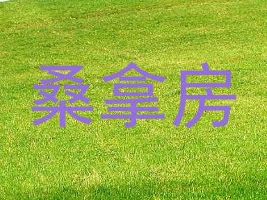 桑拿房