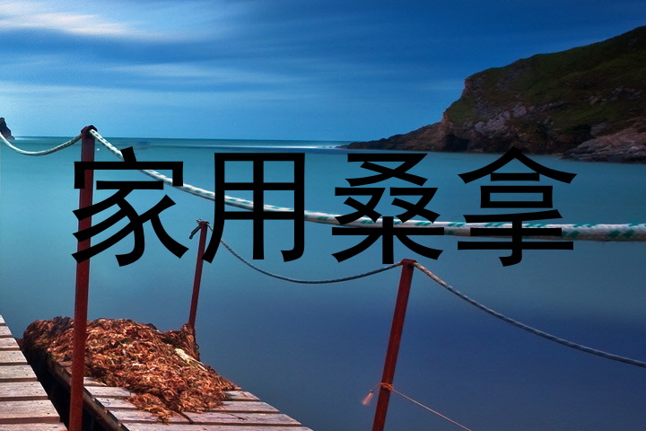 家用桑拿