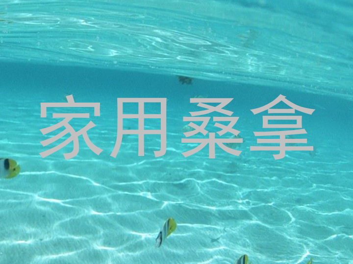 家用桑拿