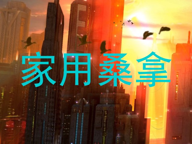 家用桑拿