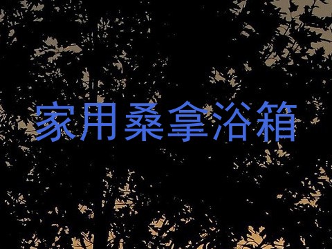 家用桑拿浴箱