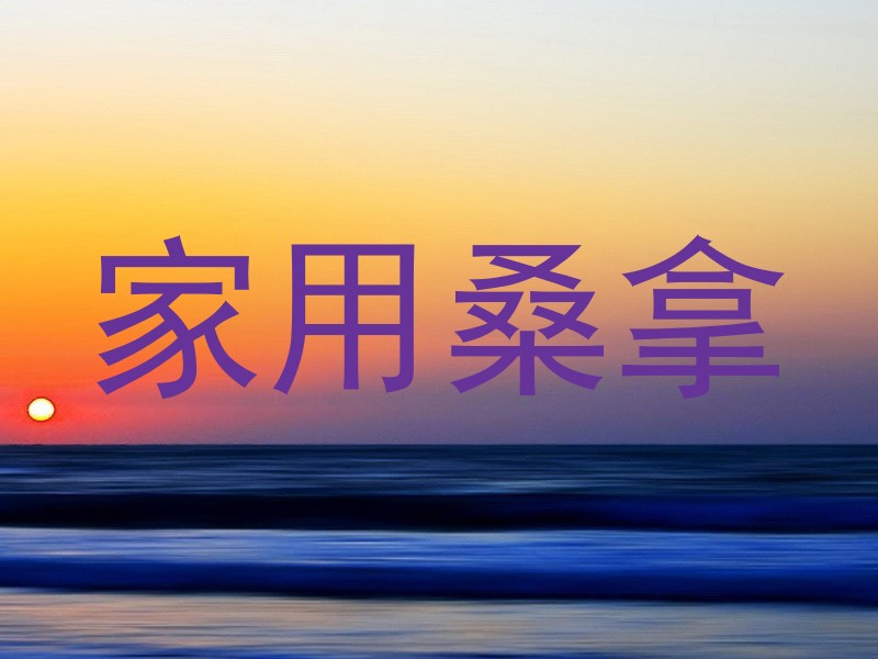 家用桑拿