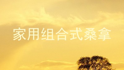 家用组合式桑拿