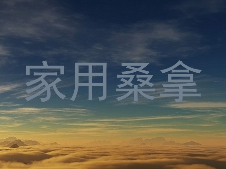 家用桑拿