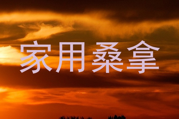 家用桑拿