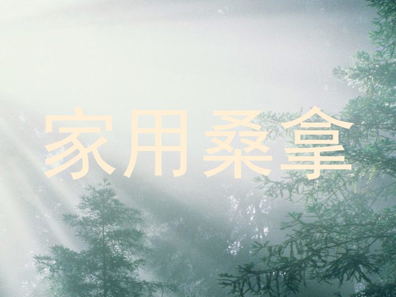 家用桑拿