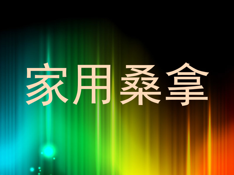 家用桑拿