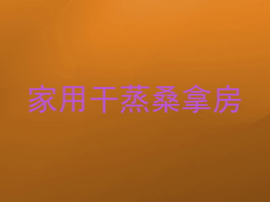 家用干蒸桑拿房