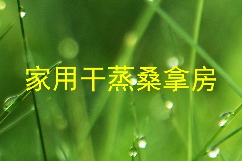 家用干蒸桑拿房