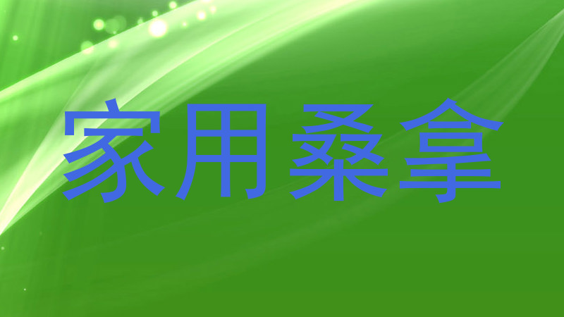 家用桑拿