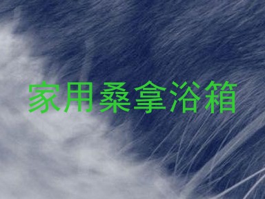 家用桑拿浴箱