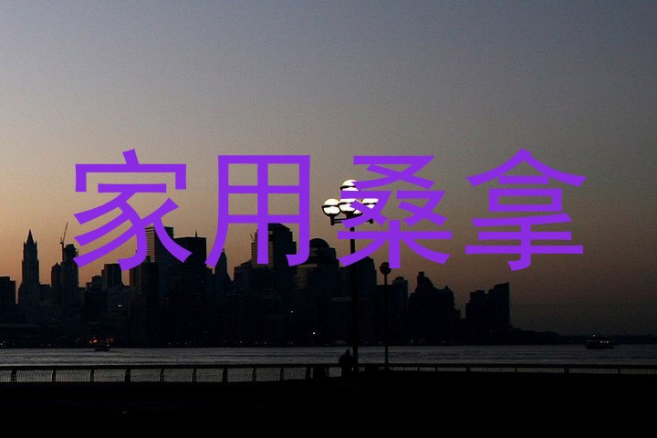家用桑拿