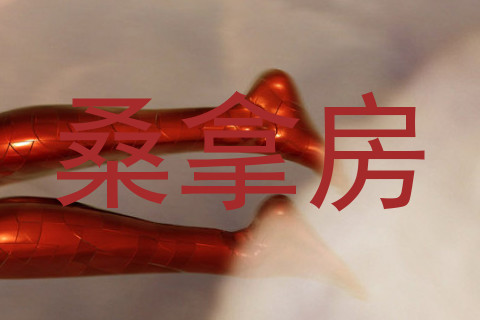 桑拿房