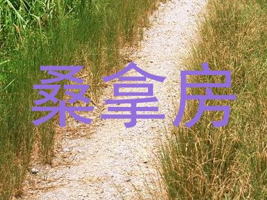 桑拿房