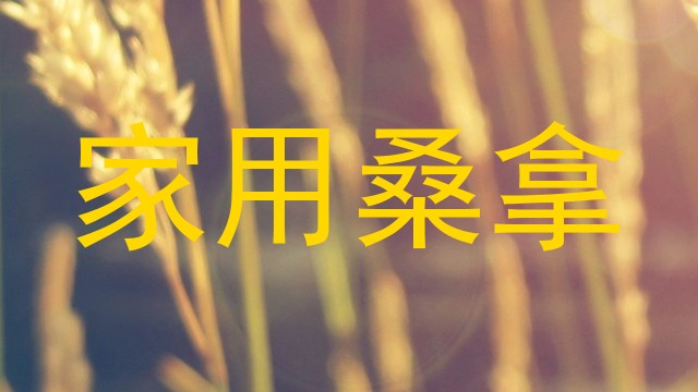 家用桑拿