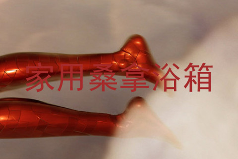 家用桑拿浴箱
