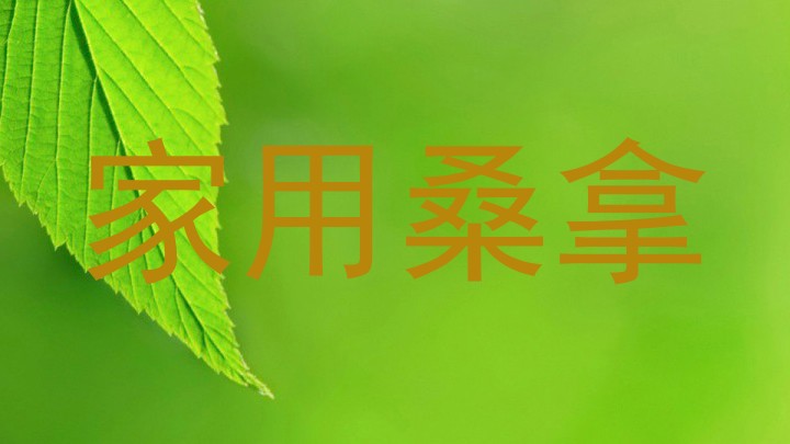 家用桑拿