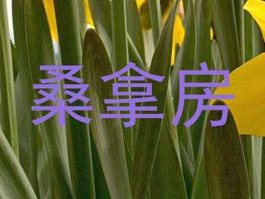 桑拿房