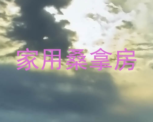 家用桑拿房