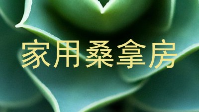 家用桑拿房