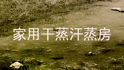 家用干蒸汗蒸房