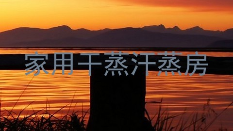 家用干蒸汗蒸房