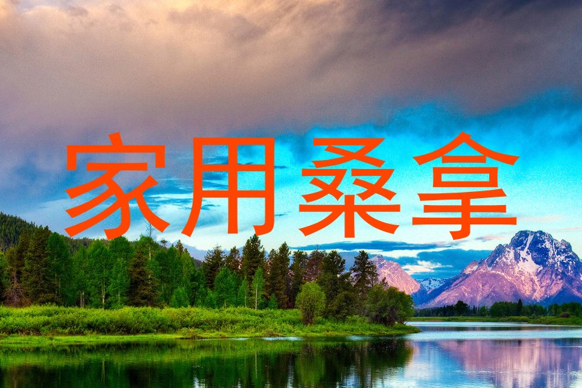 家用桑拿