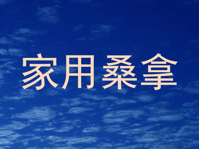 家用桑拿