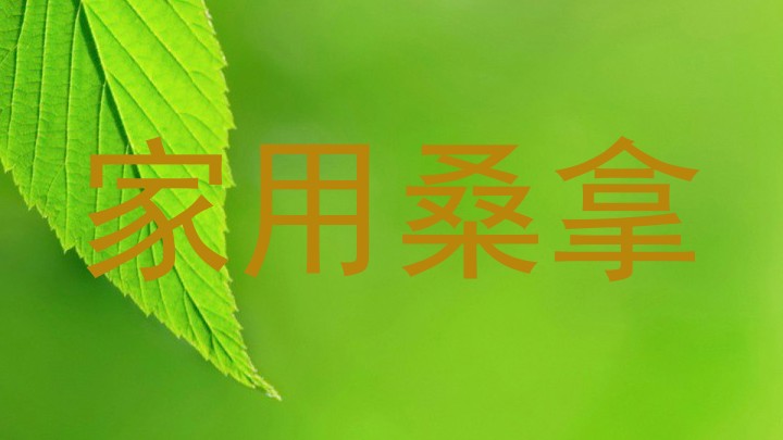家用桑拿