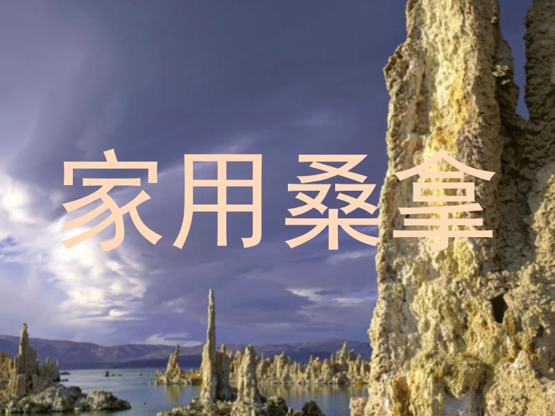 家用桑拿
