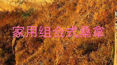 家用组合式桑拿