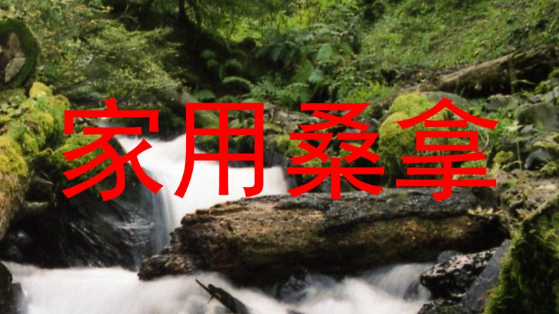 家用桑拿