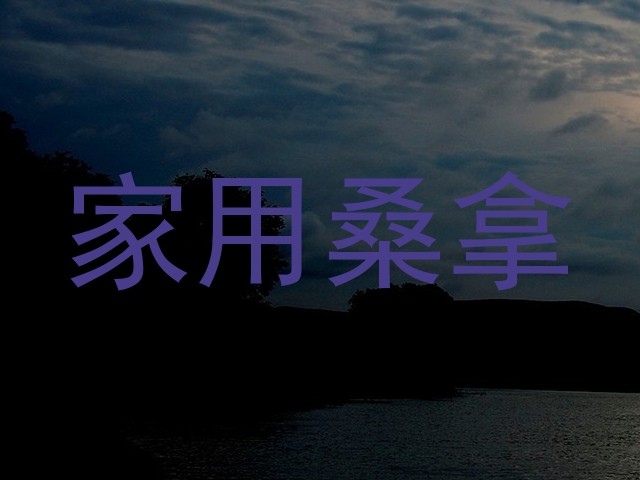家用桑拿