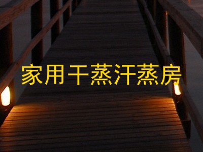 家用干蒸汗蒸房