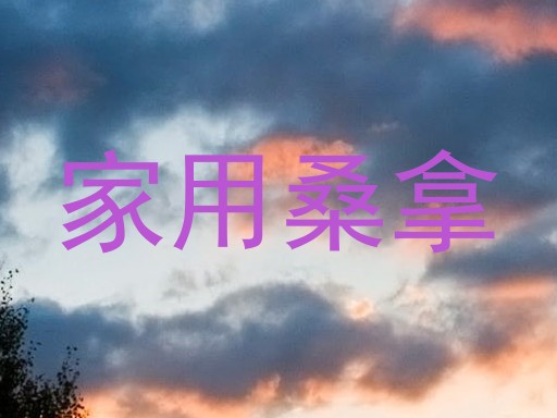 家用桑拿