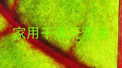 家用干蒸汗蒸房