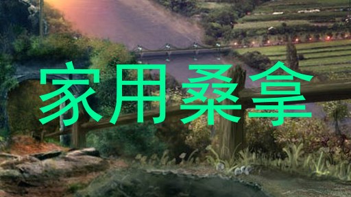 家用桑拿