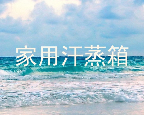 家用汗蒸箱