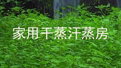 家用干蒸汗蒸房