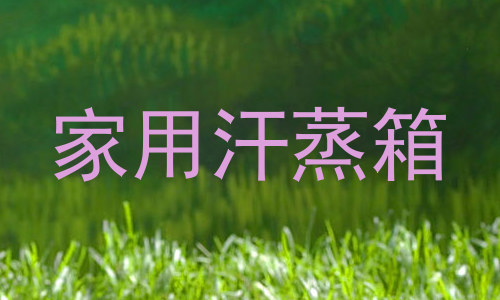家用汗蒸箱